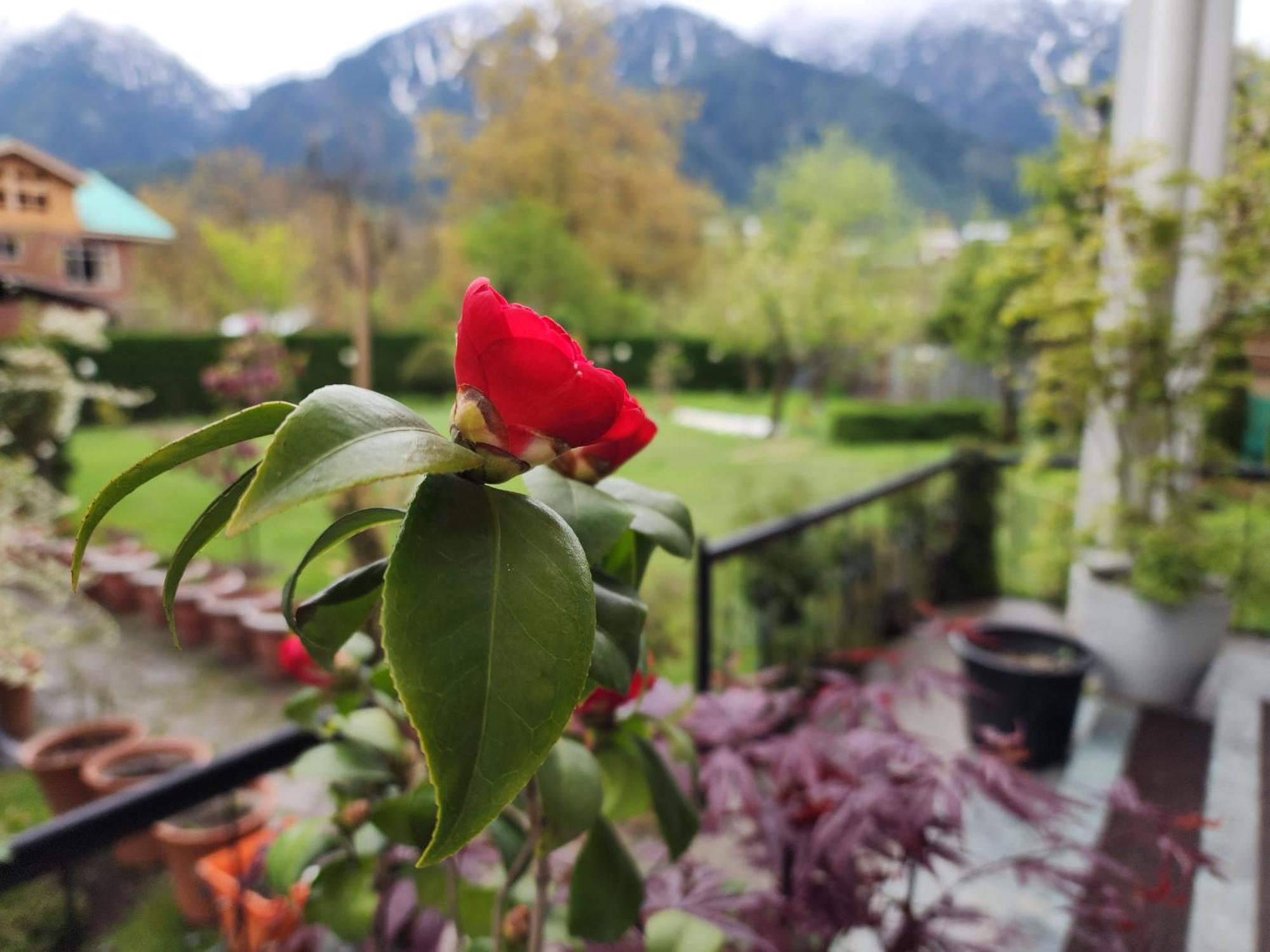 Hotel Premier Pahalgām Zewnętrze zdjęcie